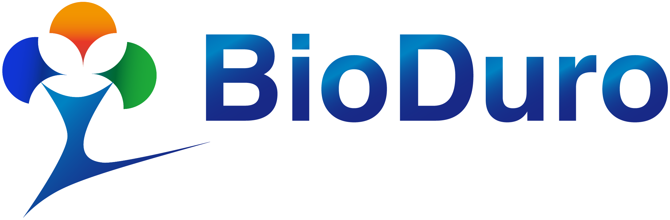 Worldbi Business Partner